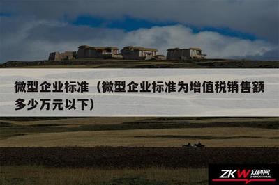 微型企業(yè)標(biāo)準(zhǔn)(微型企業(yè)標(biāo)準(zhǔn)為增值稅銷(xiāo)售額多少萬(wàn)元以下)