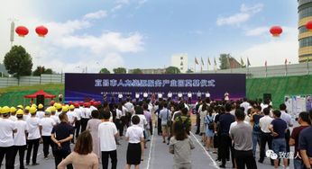 8月宜昌樓市活動(dòng)精彩紛呈 夷陵萬達(dá)等一批新項(xiàng)目驚艷亮相