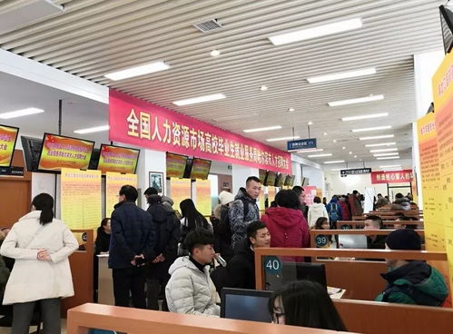 2018年全國人力資源高校畢業(yè)生就業(yè)服務(wù)周 哈爾濱市人才招聘大會(huì)成功舉辦