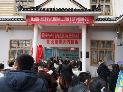 雷山縣 推出新春就業(yè) 大禮包 400個崗位穩(wěn)就業(yè)