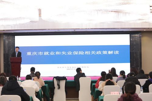 重慶市人力社保局引導人力資源企業(yè)健康有序發(fā)展