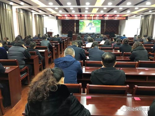 梨樹縣人社局組織全體干部職工集中收看全省人力資源和社會(huì)保障工作視頻會(huì)議