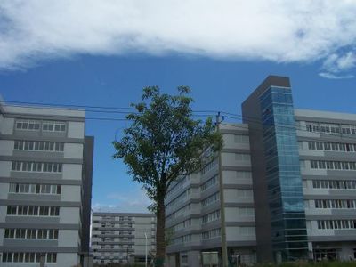 旺泉科技招聘信息 寧波旺泉科技招聘 人和人力資源_旺泉科技招聘信息 寧波旺泉科技招聘 人和人力資源價格_旺泉科技招聘信息 寧波旺泉科技招聘 人和人力資源廠家-勤加緣網(wǎng)【滑縣人和人力資源服務(wù)】