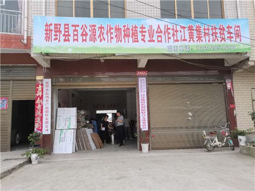 河南省文化傳播企業(yè)聯(lián)合會(huì)助力全省脫貧攻堅(jiān)走進(jìn)江黃集村捐贈(zèng)儀式