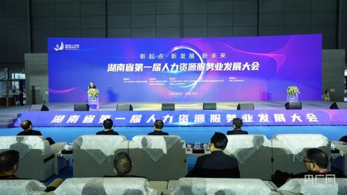 湖南力爭人力資源服務營收突破600億元 央廣網(wǎng)