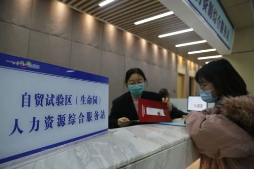 助力 兩區(qū) 建設 昌平成立自貿區(qū)人力資源綜合服務站