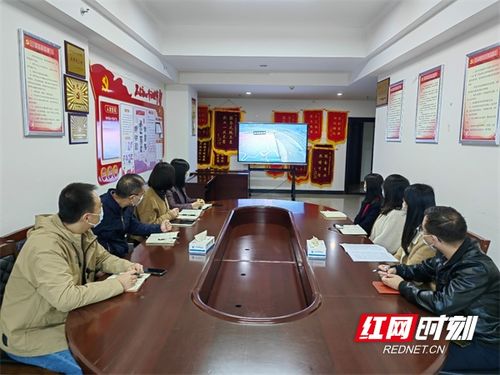 永州市人力資源服務中心黨支部開展 一課一片一實踐 主題黨日活動