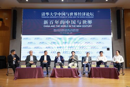 清華大學(xué)accept研究院 人口紅利理論存在缺陷,中國人力總量2050前仍可增長