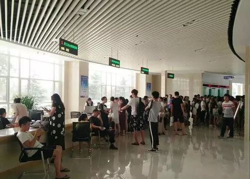 12345來電,請您為市人力資源和社會保障局 代言 喲